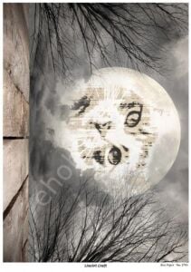 Lineart Pirinç Dekopaj Kağıdı Model - 2793