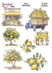 Sulu Transfer Kağıdı 25x35cm ST-845