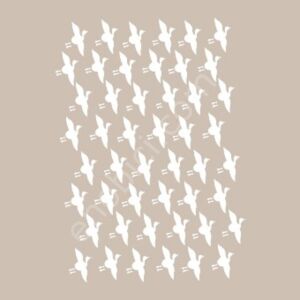 BN05 25x36 Cadence BN Serisisi Stencil