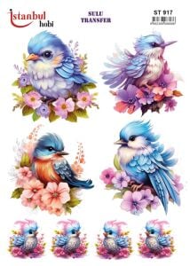 Sulu Transfer Kağıdı 25x35cm ST-917