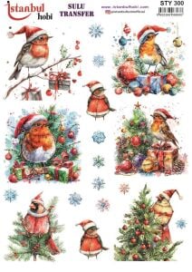 Yılbaşı Sulu Transfer 25x35cm STY300