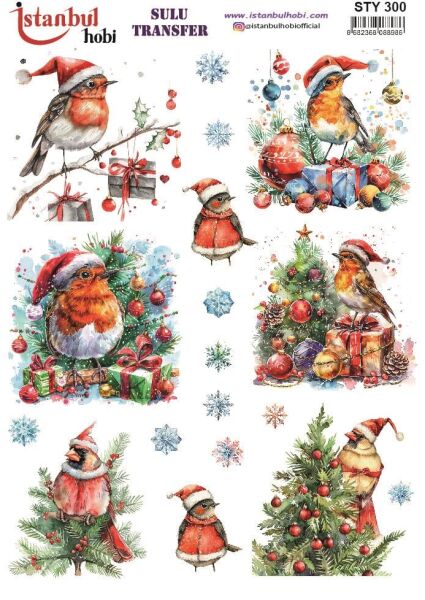 Yılbaşı Sulu Transfer 25x35cm STY300