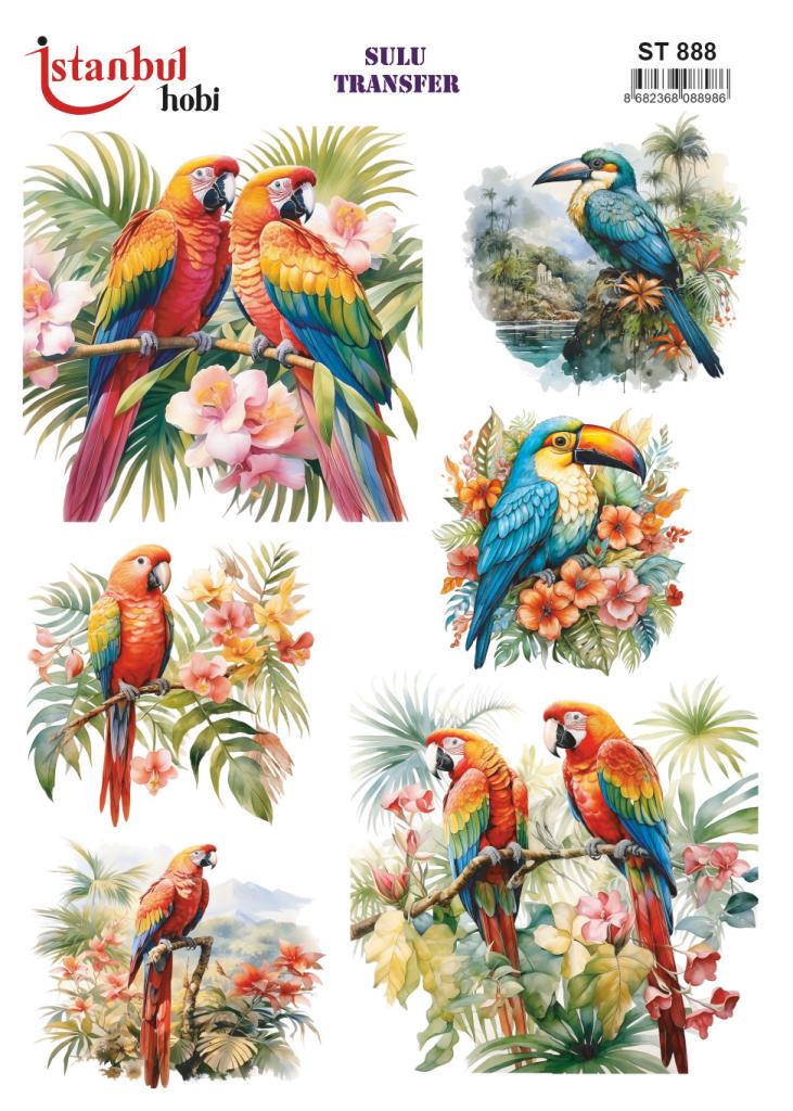 Sulu Transfer Kağıdı 25x35cm ST-888