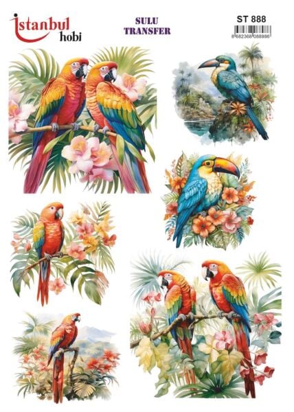 Sulu Transfer Kağıdı 25x35cm ST-888