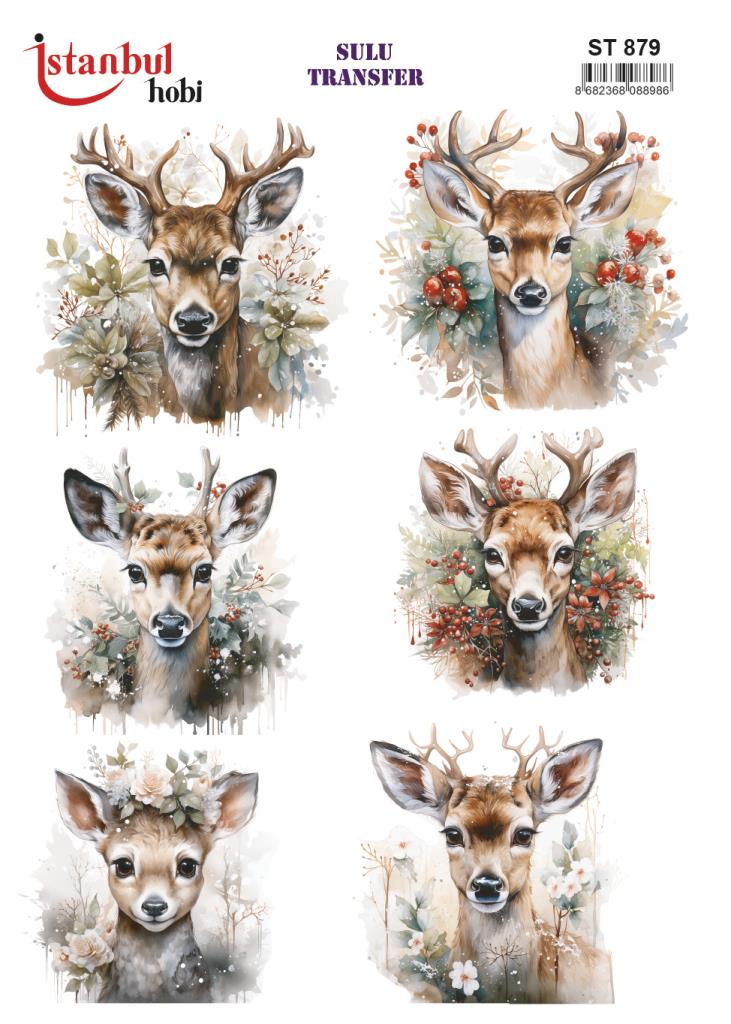 Sulu Transfer Kağıdı 25x35cm ST-879