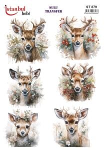 Sulu Transfer Kağıdı 25x35cm ST-879