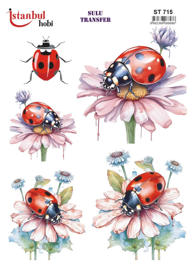 Sulu Transfer Kağıdı 25x35cm ST-715