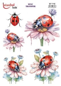 Sulu Transfer Kağıdı 25x35cm ST-715