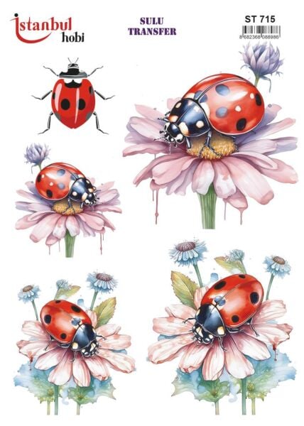 Sulu Transfer Kağıdı 25x35cm ST-715