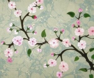 Cadence Ebru Boyası 856 Kırmızı 45ml