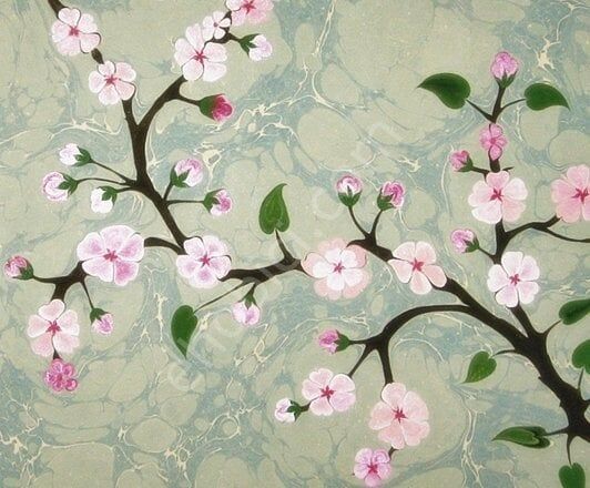 Cadence Ebru Boyası 856 Kırmızı 45ml