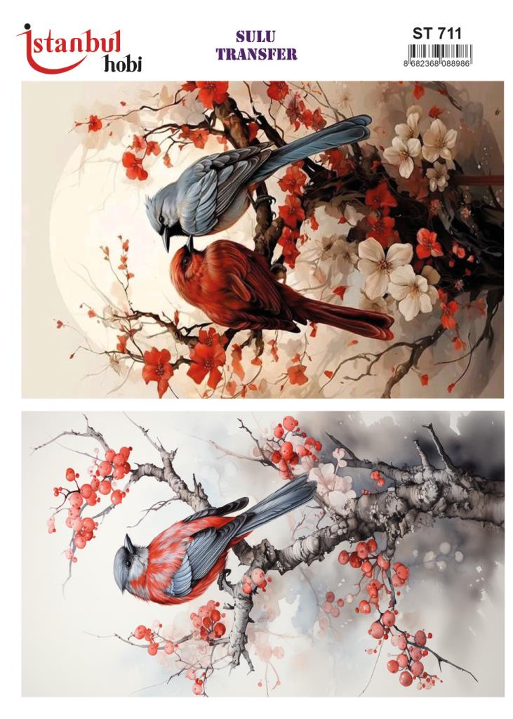 Sulu Transfer Kağıdı 25x35cm ST-711