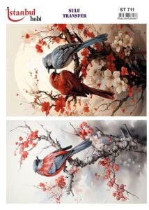 Sulu Transfer Kağıdı 25x35cm ST-711