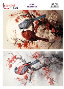 Sulu Transfer Kağıdı 25x35cm ST-711