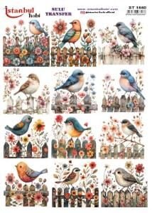 Sulu Transfer Kağıdı 25x35cm ST-1550