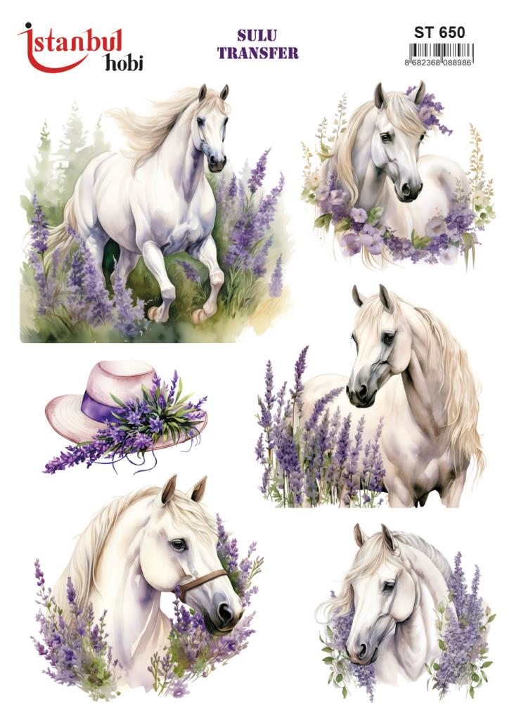 Sulu Transfer Kağıdı 25x35cm ST-650