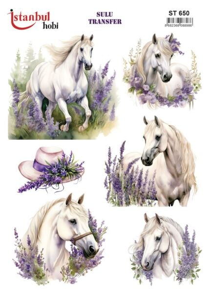 Sulu Transfer Kağıdı 25x35cm ST-650