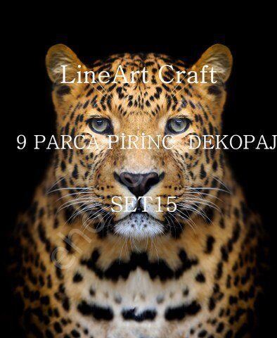 Lineart Pirinç Dekopaj Kağıdı 9 Parça Set-015