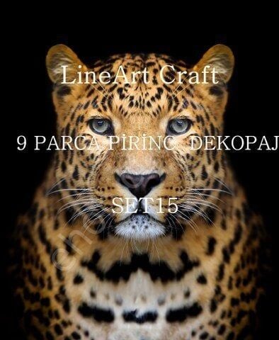 Lineart Pirinç Dekopaj Kağıdı 9 Parça Set-015