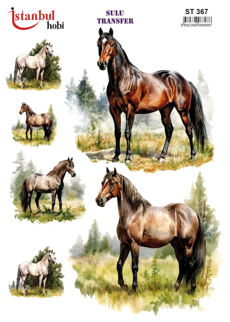 Sulu Transfer Kağıdı 25x35cm ST-367