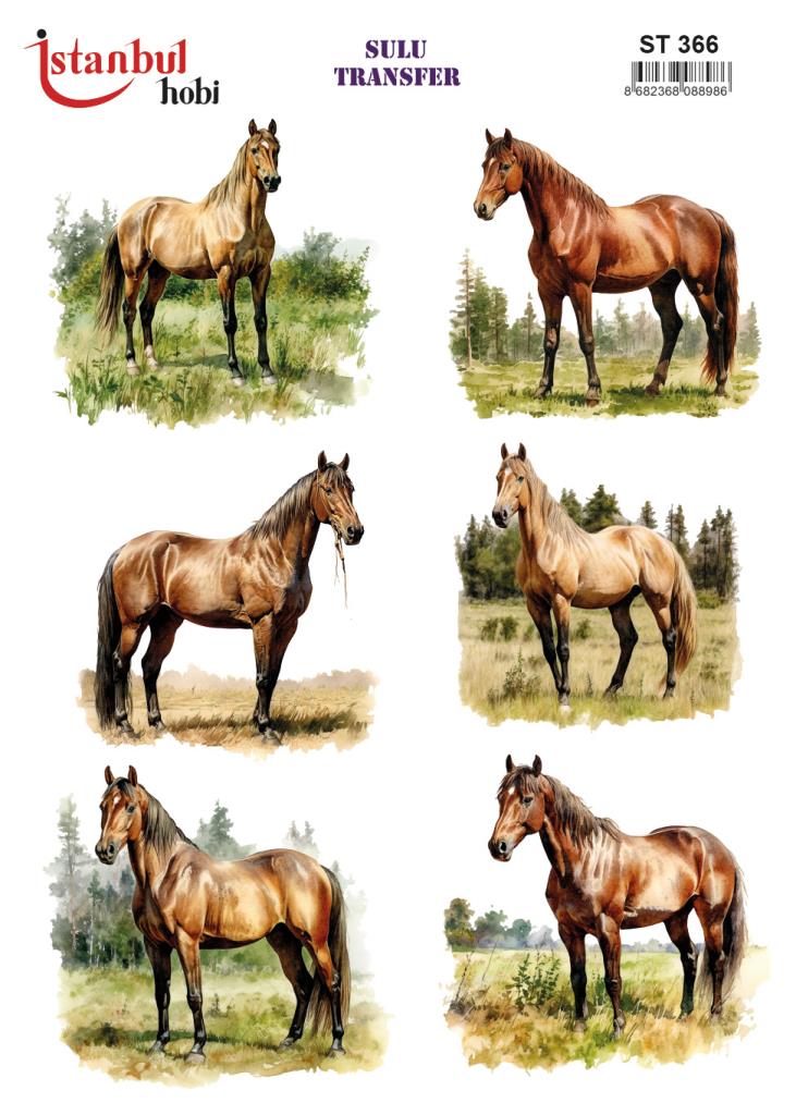 Sulu Transfer Kağıdı 25x35cm ST-366