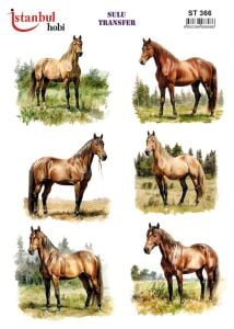 Sulu Transfer Kağıdı 25x35cm ST-366