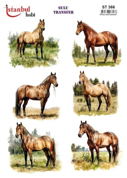 Sulu Transfer Kağıdı 25x35cm ST-366