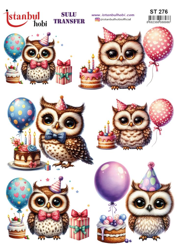 Sulu Transfer Kağıdı 25x35cm ST-276