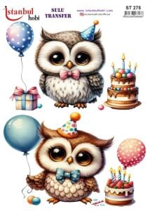 Sulu Transfer Kağıdı 25x35cm ST-275