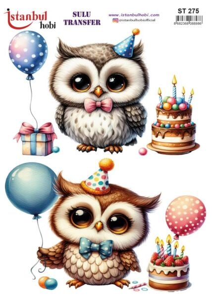 Sulu Transfer Kağıdı 25x35cm ST-275