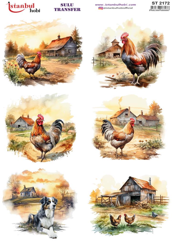 Sulu Transfer Kağıdı 25x35cm ST-2172