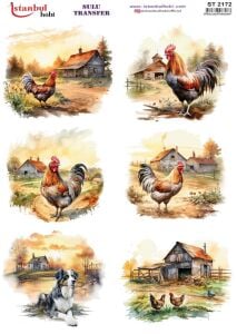 Sulu Transfer Kağıdı 25x35cm ST-2172