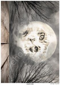 Lineart Pirinç Dekopaj Kağıdı Model - 2793