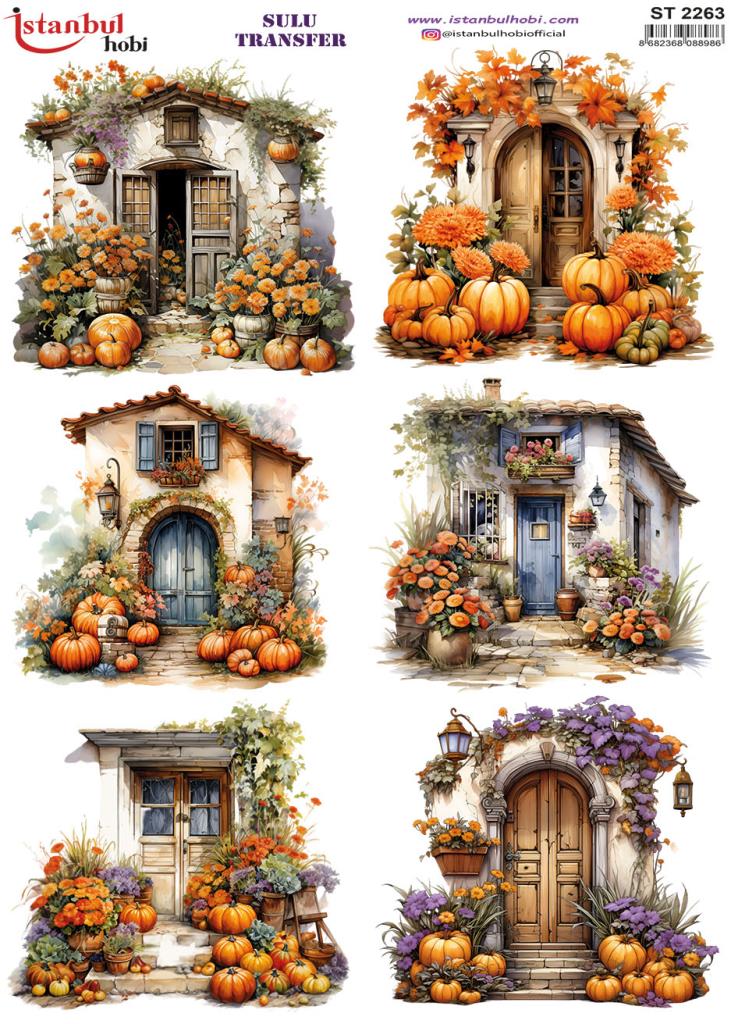 Sulu Transfer Kağıdı 25x35cm ST-2263