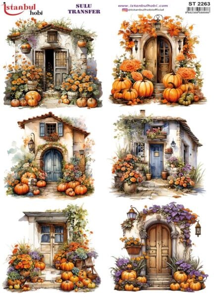 Sulu Transfer Kağıdı 25x35cm ST-2263