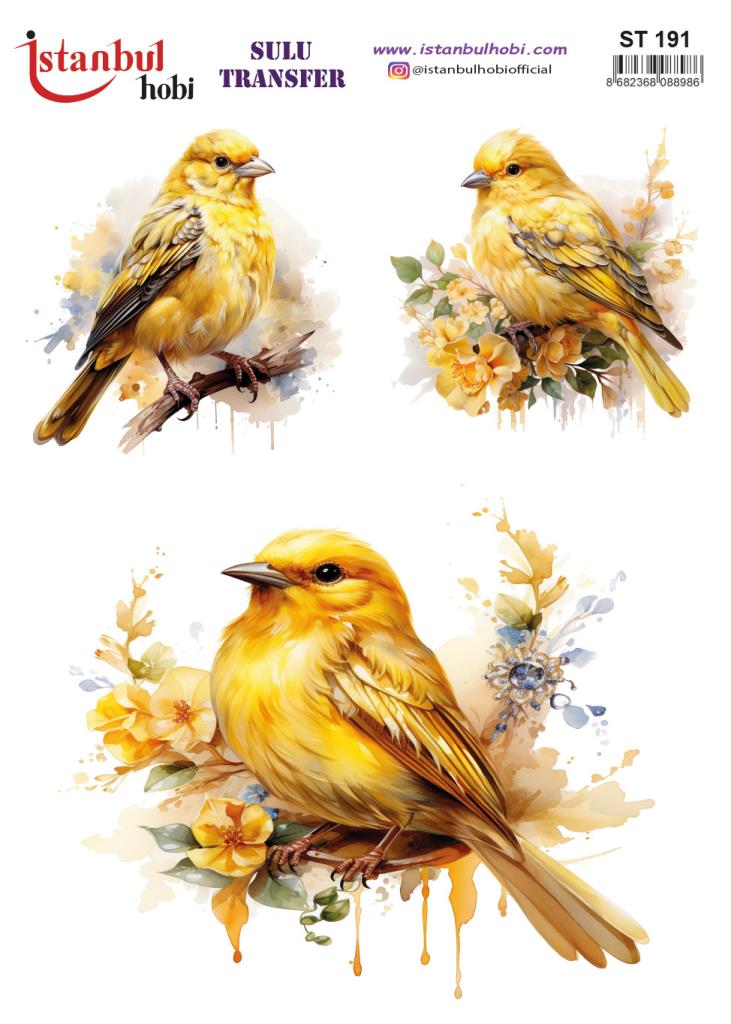 Sulu Transfer Kağıdı 25x35cm ST-191