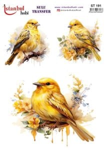 Sulu Transfer Kağıdı 25x35cm ST-191