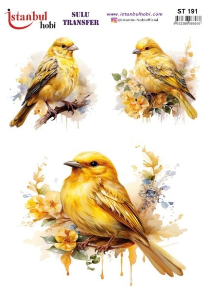 Sulu Transfer Kağıdı 25x35cm ST-191