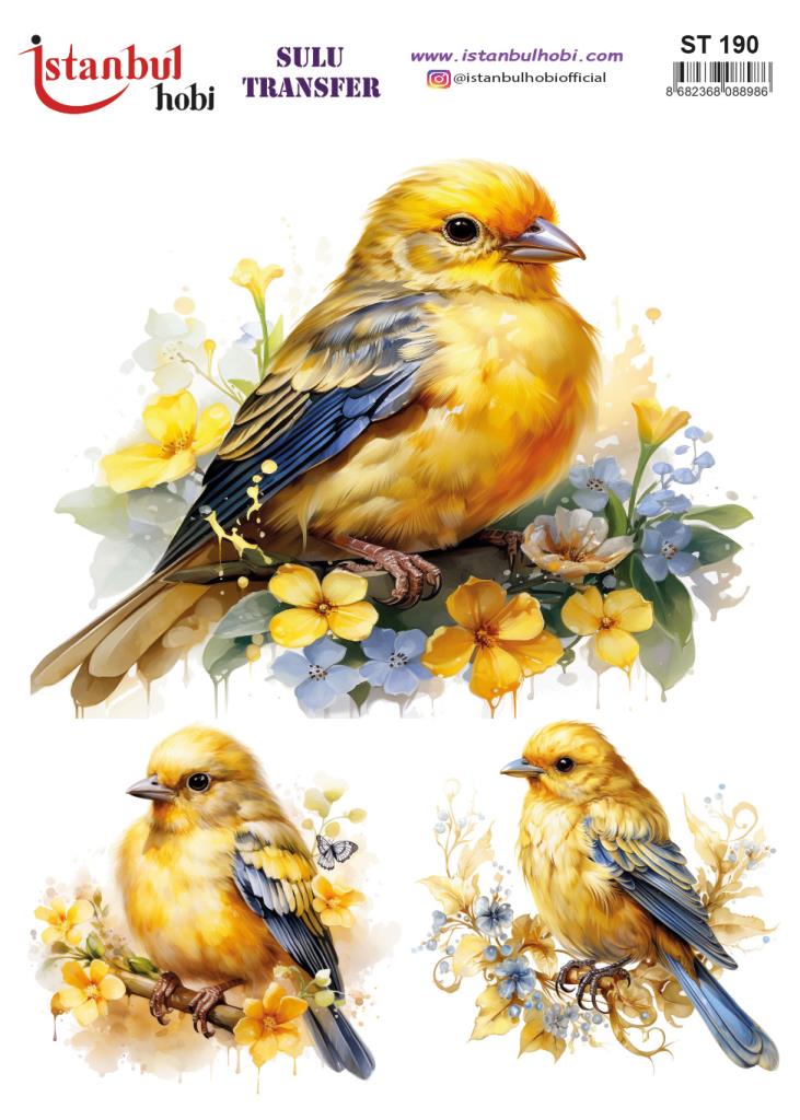 Sulu Transfer Kağıdı 25x35cm ST-190