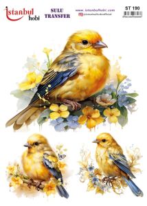 Sulu Transfer Kağıdı 25x35cm ST-190