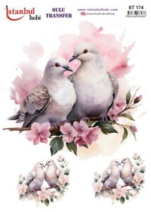 Sulu Transfer Kağıdı 25x35cm ST-174