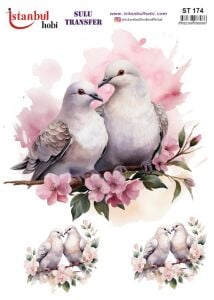 Sulu Transfer Kağıdı 25x35cm ST-174