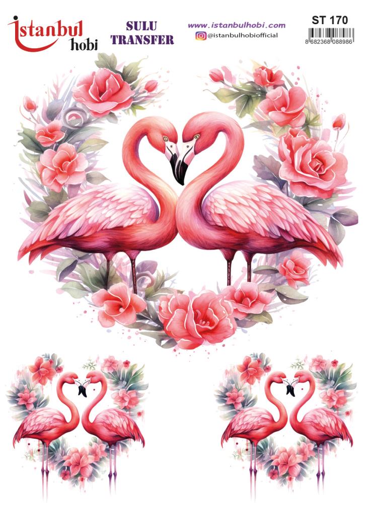 Sulu Transfer Kağıdı 25x35cm ST-170