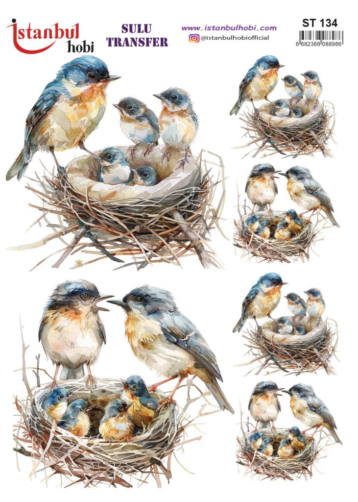 Sulu Transfer Kağıdı 25x35cm ST-134