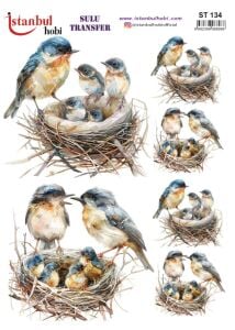 Sulu Transfer Kağıdı 25x35cm ST-134