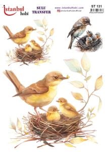 Sulu Transfer Kağıdı 25x35cm ST-131