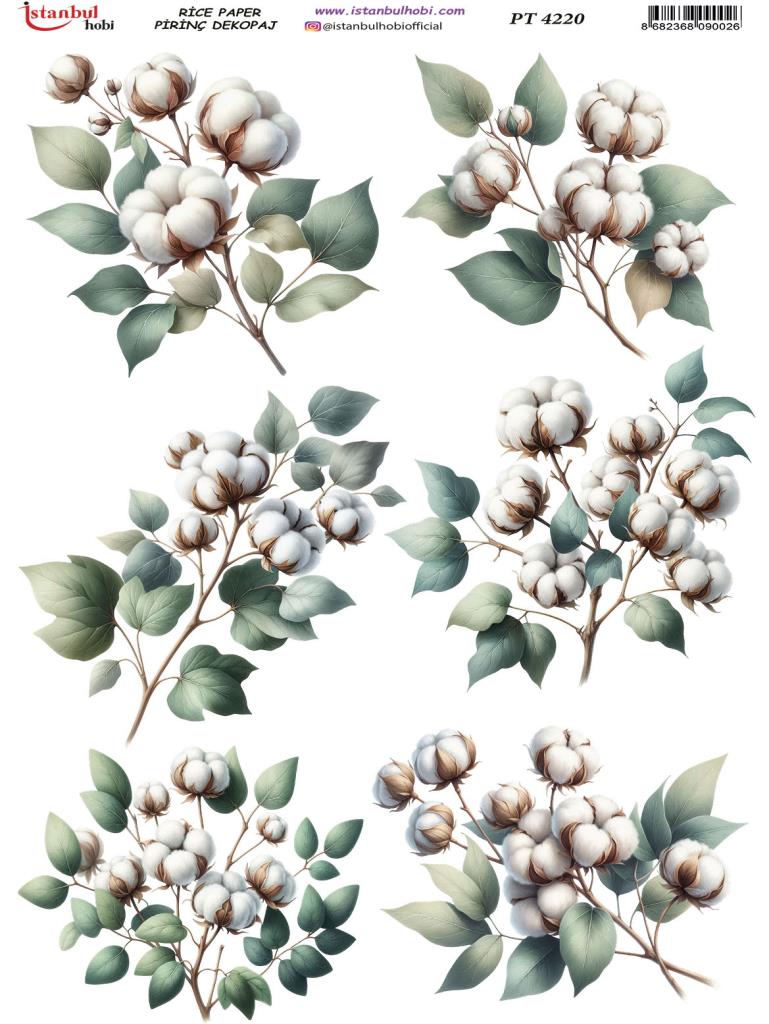 Pirinç Dekopaj Kağıdı 30x42cm PT-4220