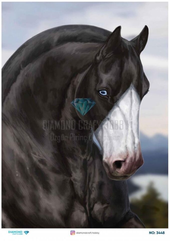 Diamond Pirinç Dekopaj Kağıdı - 3448