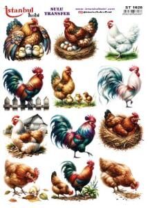 Sulu Transfer Kağıdı 25x35cm ST-1628