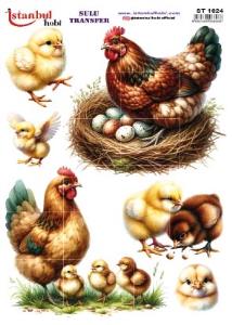 Sulu Transfer Kağıdı 25x35cm ST-1624